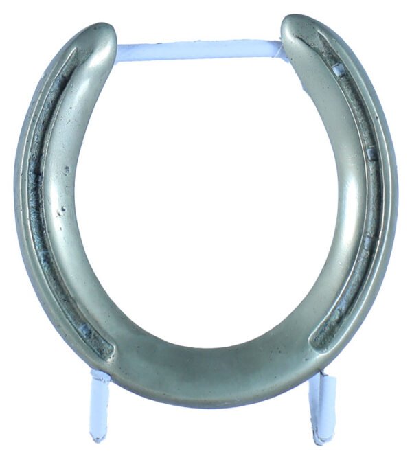 Brass Horseshoe